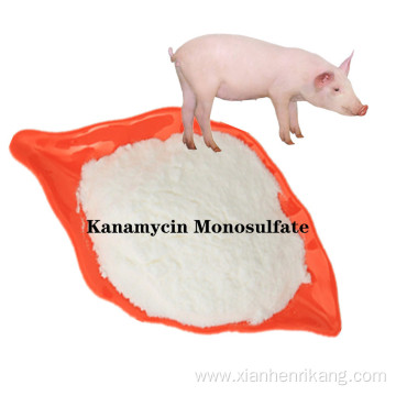 Buy online CAS25389-94-0 Kanamycin Monosulfate active powder